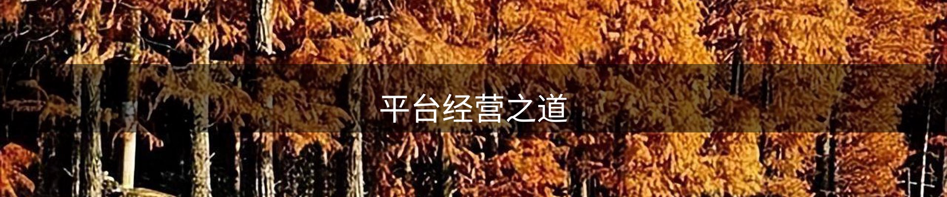 平台经营之道
